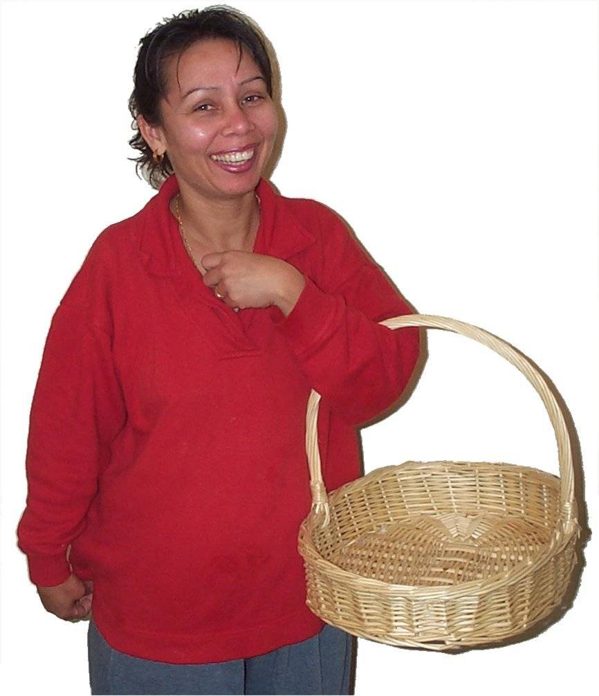 Carrying basket.jpg